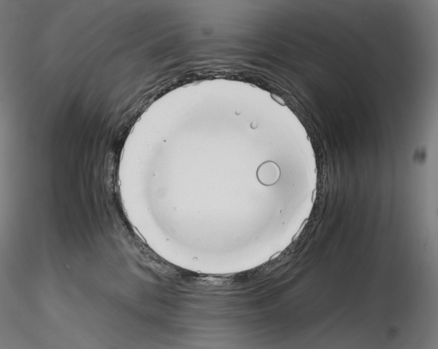 X0000115480328200912181214