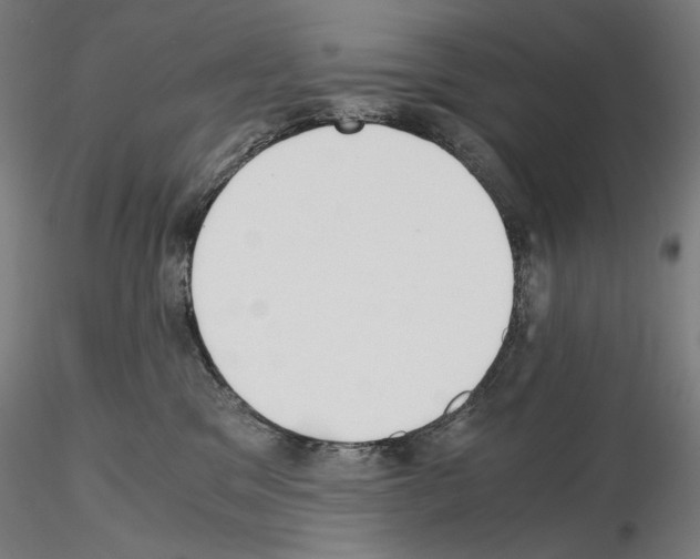 X0000115480329200912181214