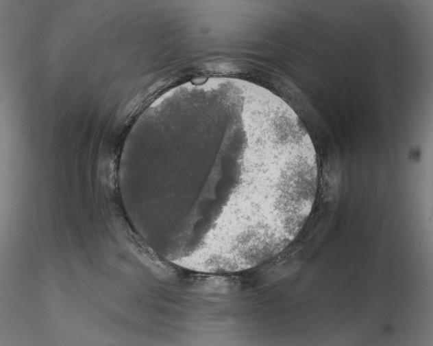 X0000115480330200912181214