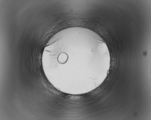 X0000115480332200912181214