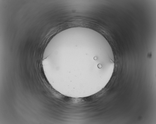 X0000115480333200912181214