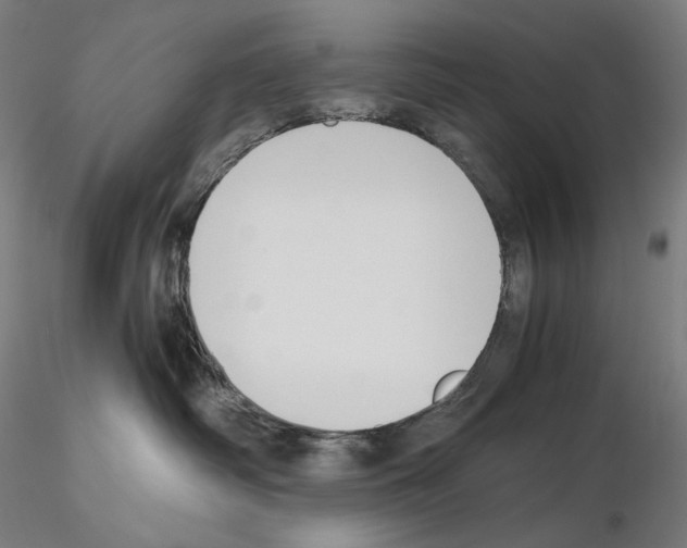 X0000115480334200912181214