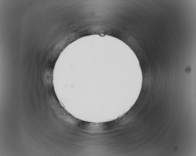 X0000115480335200912181214