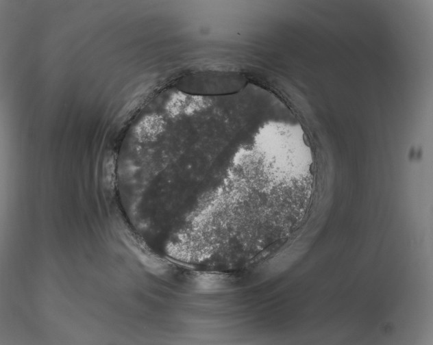 X0000115480336200912181214