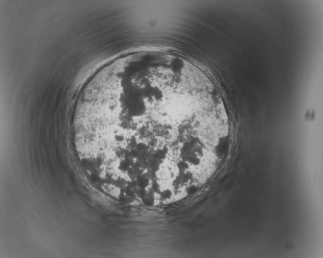 X0000115480337200912181214