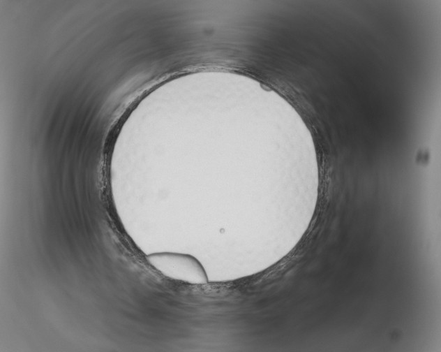 X0000115480338200912181214