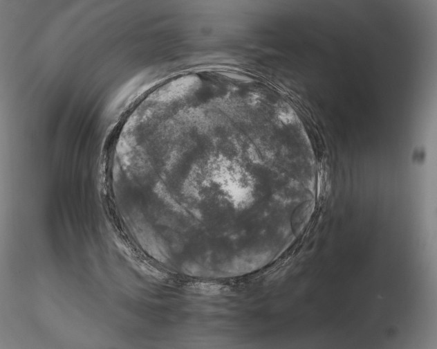 X0000115480339200912181214