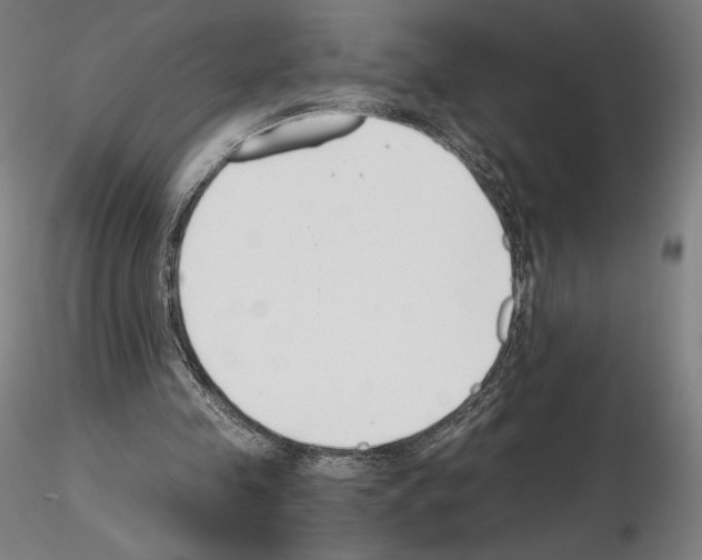 X0000115480341200912181214