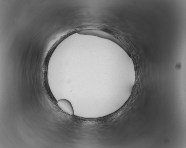 X0000115480342200912181214
