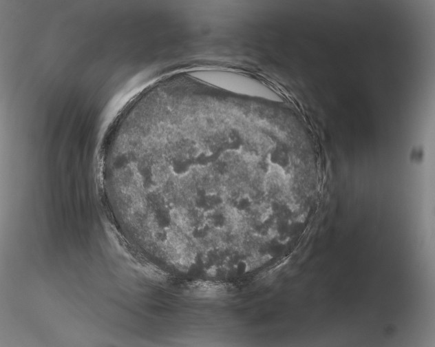 X0000115480343200912181214