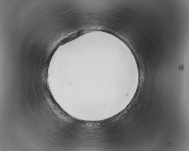 X0000115480345200912181214
