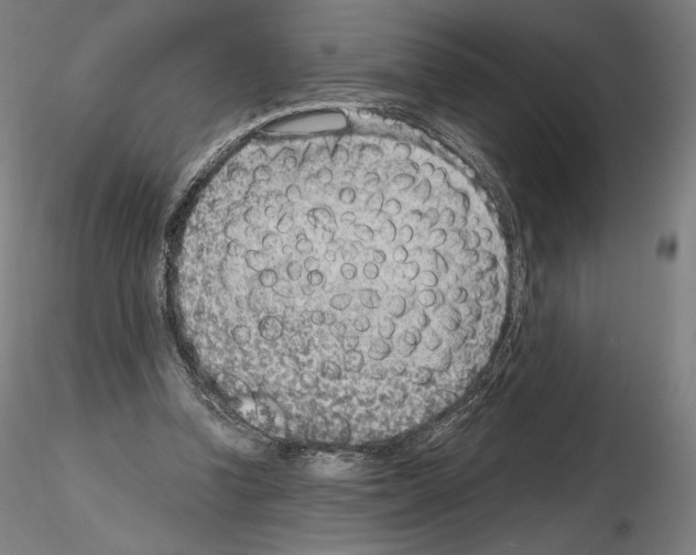 X0000115480346200912181214