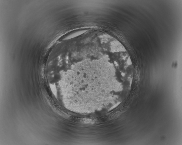 X0000115480347200912181214