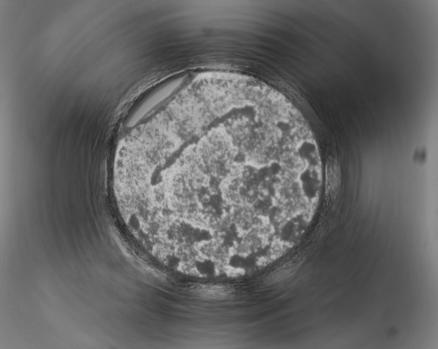 X0000115480349200912181214