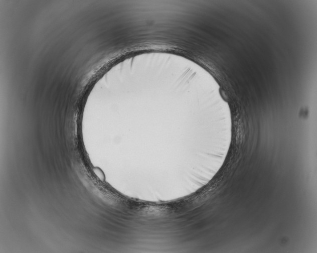 X0000115480350200912181214