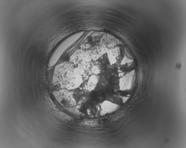 X0000115480353200912181214