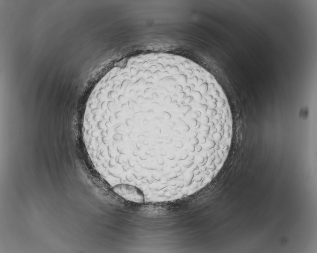 X0000115480354200912181214