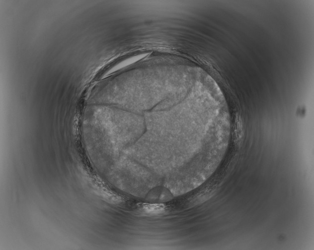 X0000115480355200912181214