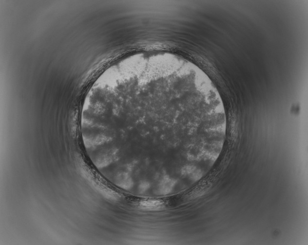 X0000115480357200912181214