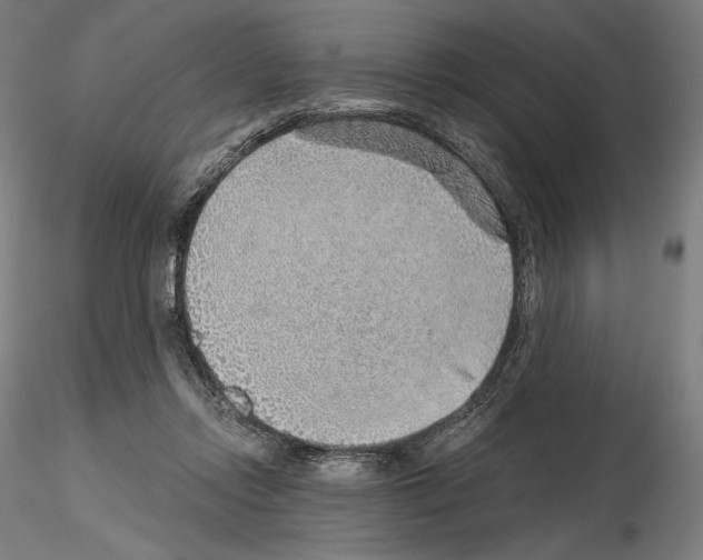 X0000115480358200912181214