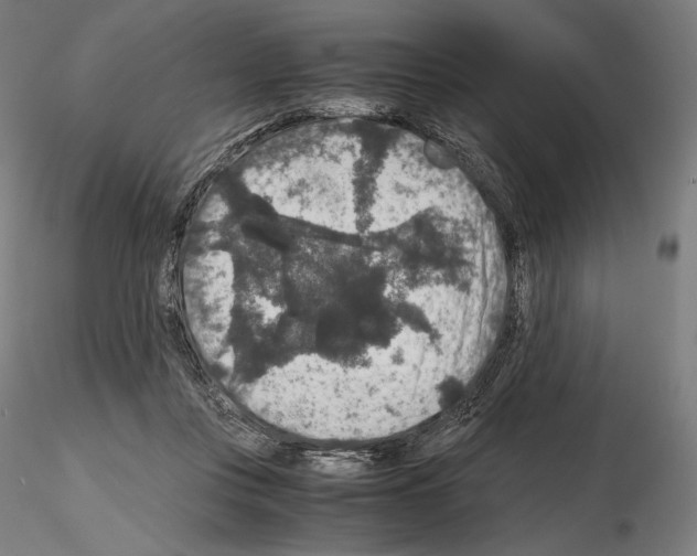X0000115480359200912181214