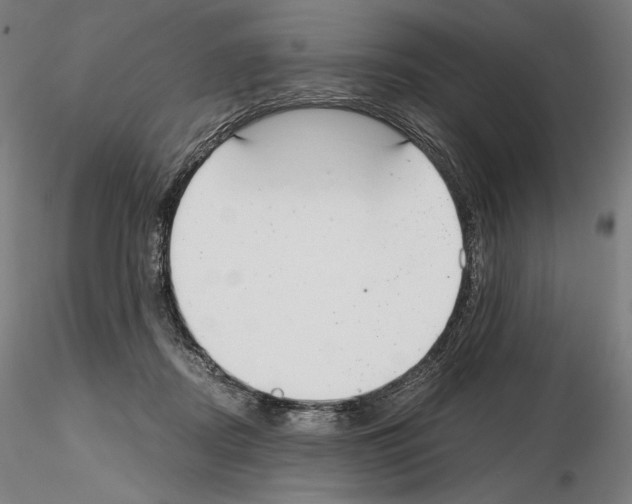 X0000115480362200912181214