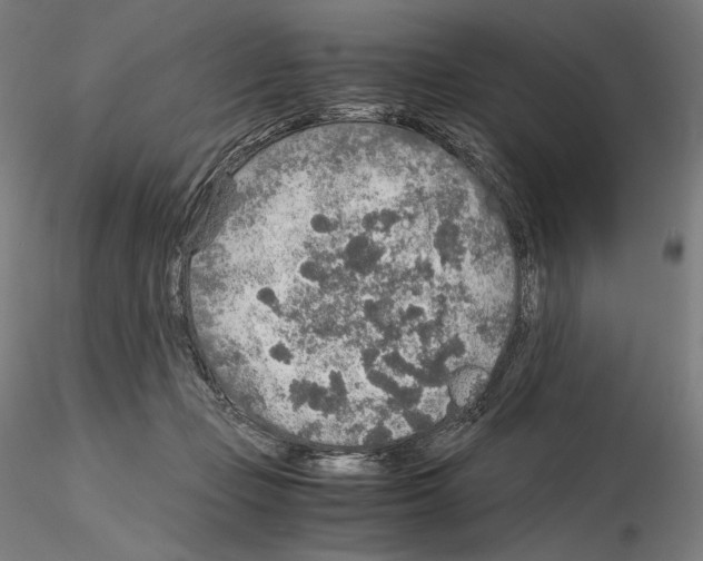 X0000115480365200912181214