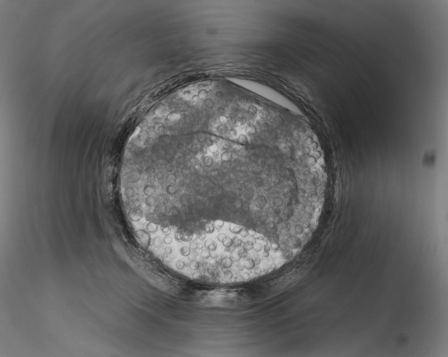 X0000115480366200912181214