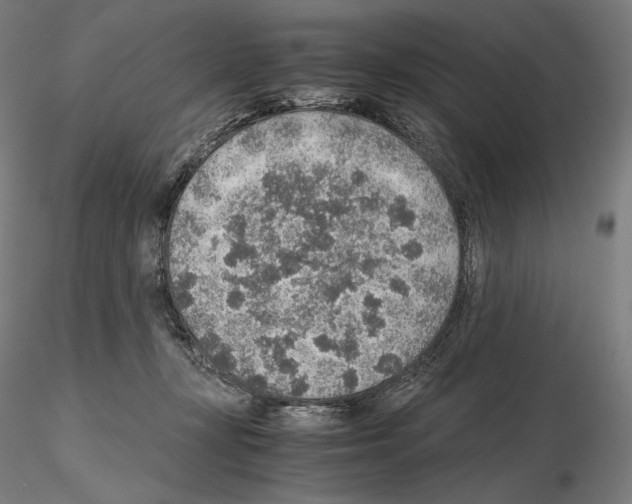 X0000115480367200912181214