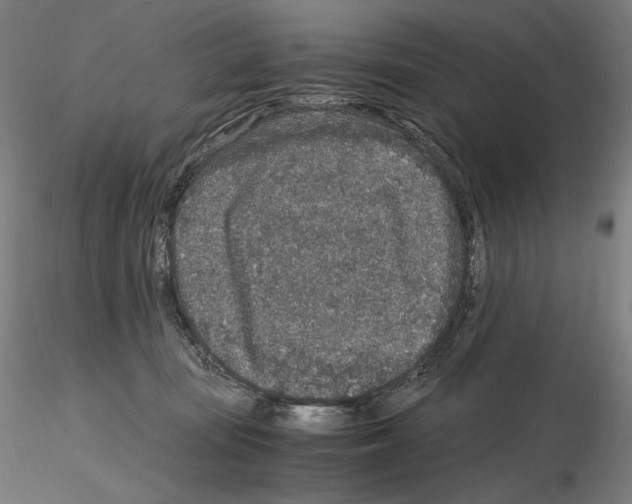 X0000115480371200912181214