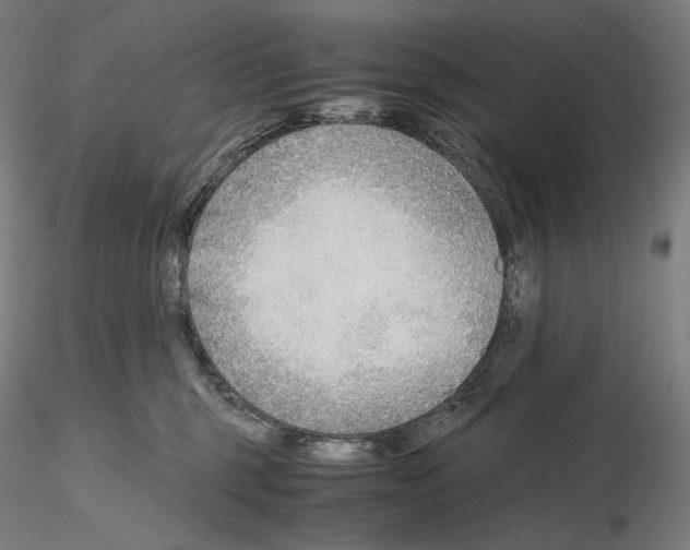 X0000115480375200912181214
