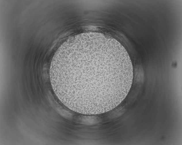 X0000115480377200912181214