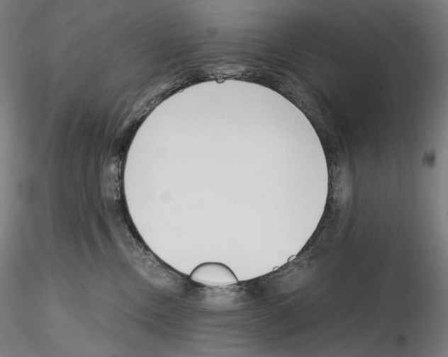 X0000115480378200912181214