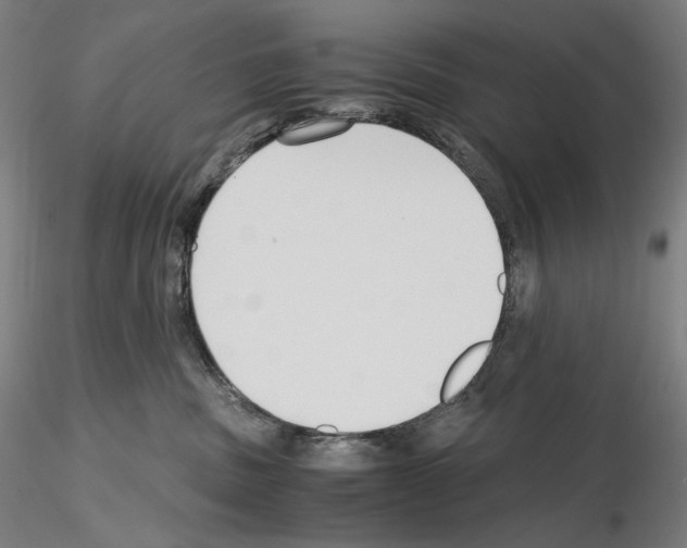 X0000115480379200912181214