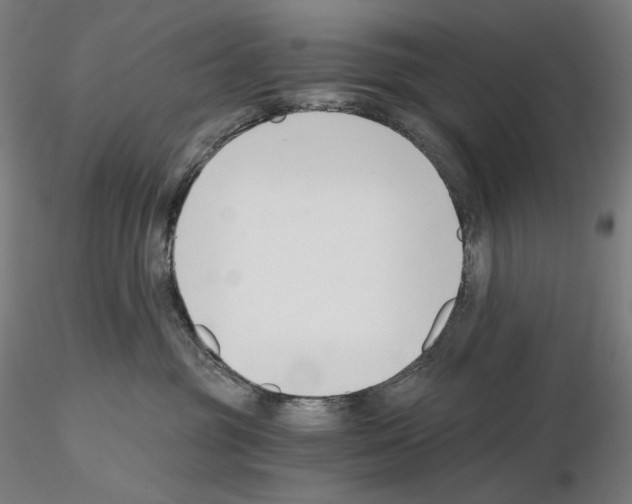X0000115480381200912181214