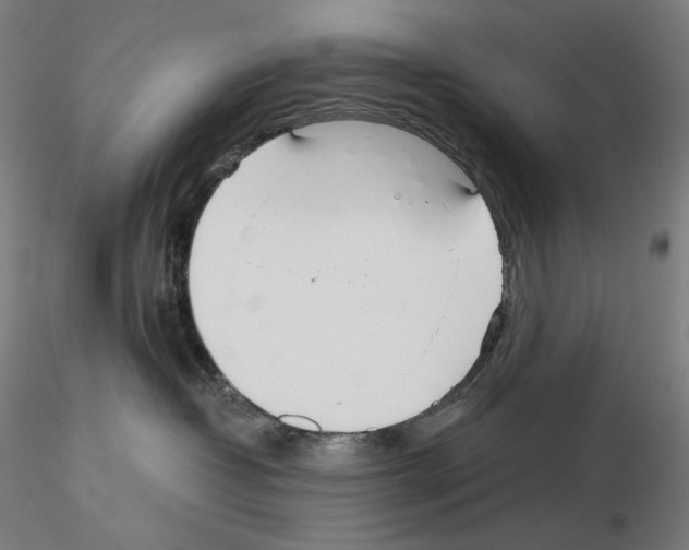 X0000115480382200912181214