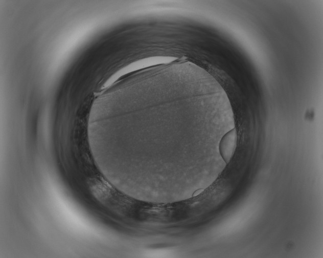 X0000115480383200912181214