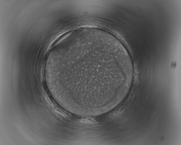 X0000115480386200912181214