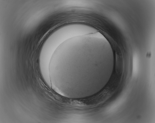 X0000115480387200912181214