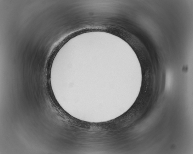 X0000115480388200912181214