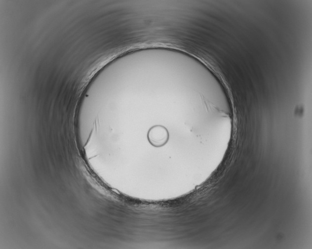 X0000115480389200912181214