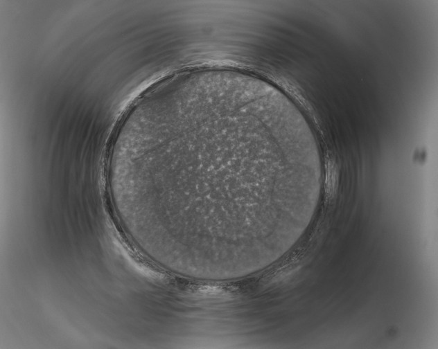 X0000115480390200912181214