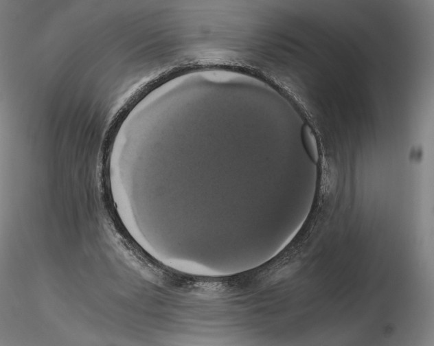 X0000115480391200912181214