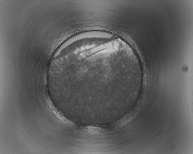 X0000115480393200912181213