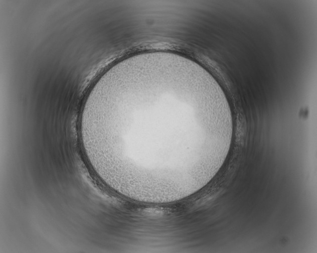 X0000115480394200912181213
