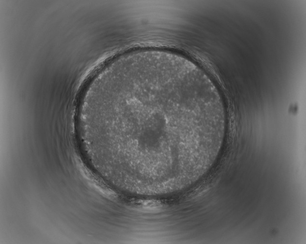 X0000115480395200912181213