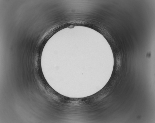X0000115480396200912181213