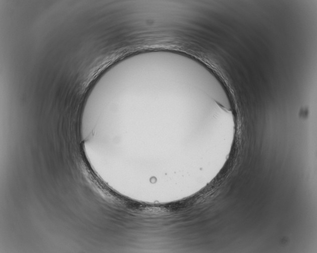 X0000115480397200912181213
