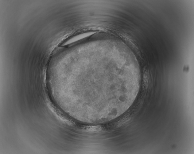 X0000115480398200912181213