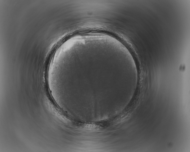 X0000115480399200912181213